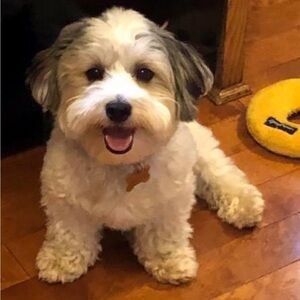 Meet your Posher, Mimi